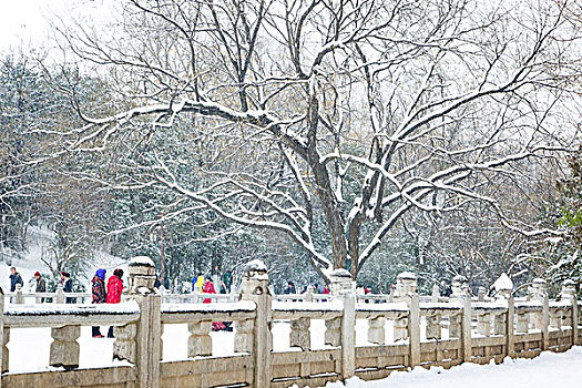 雪景