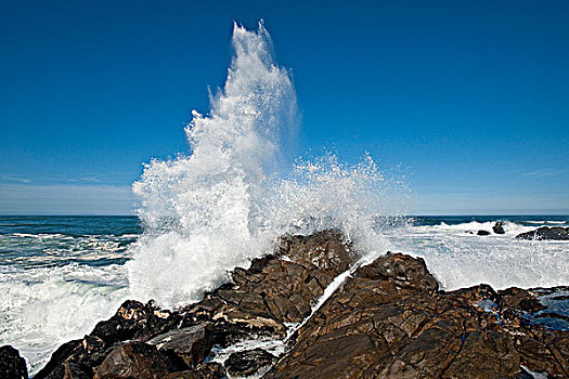 波浪,挤压,漂石,西海岸,国家公园,南非