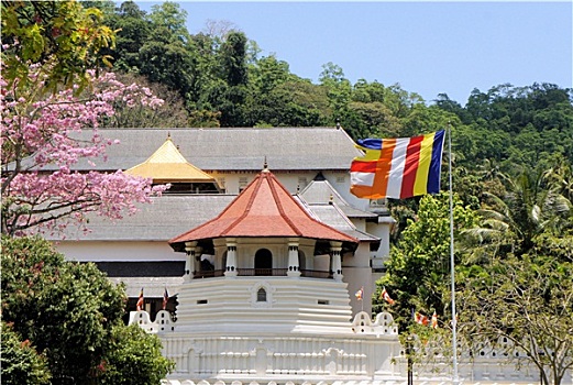 佛教寺庙,牙齿,康提,斯里兰卡