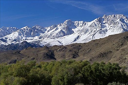 钨,山,内华达山脉,加利福尼亚,美国