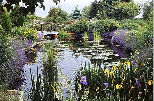 步行桥,上方,水塘,正规花园
