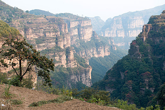 太行大峡谷