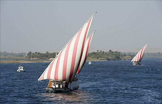 帆船,游客,尼罗河,靠近,埃及,非洲