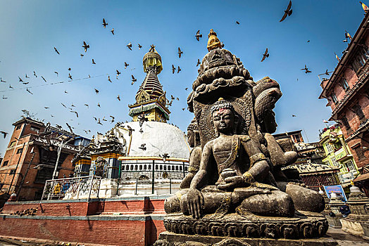 佛塔,佛像,鸽子,加德满都,尼泊尔,亚洲