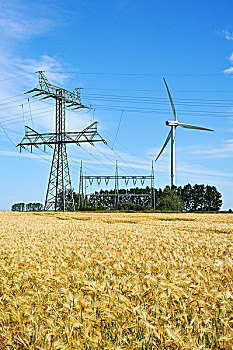 风,涡轮,杆,成熟,大麦,地点,前景,梅克伦堡前波莫瑞州,德国,欧洲