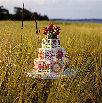 三个,层次,婚礼蛋糕,装饰,红色,蓝花,喜爱,鸟,地点