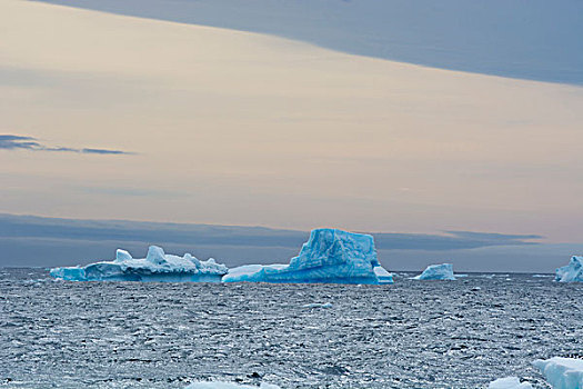 南极,布朗布拉夫,鲜明,蓝色,冰山