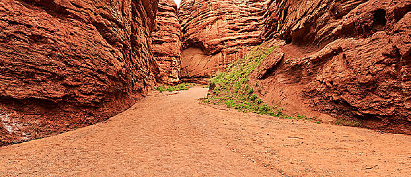 道路,绿色,山谷,红色,砂岩