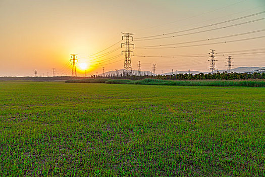 金色夕阳下的田地高压线路