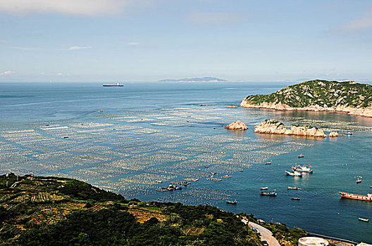 浙江舟山嵊泗縣嵊山海上牧場