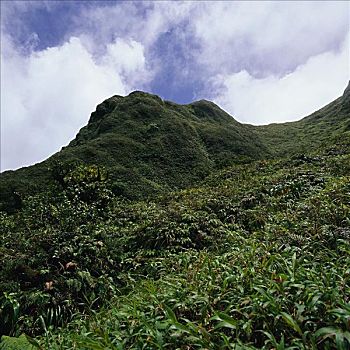 山坡,马提尼克岛,安的列斯群岛