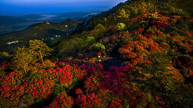 航拍麻城龟峰山杜鹃花海