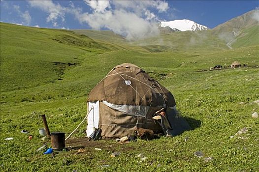 草地,正面,山,吉尔吉斯斯坦