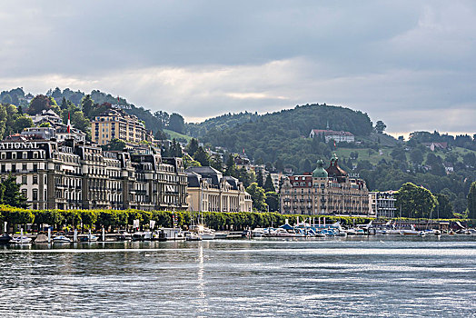 风景,北方,岸边,酒店,国家,宫殿,琉森湖,瑞士