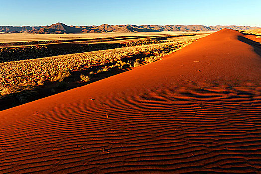 南方,山麓,纳米布沙漠,沙丘,后面,山,夜光,纳米比亚,非洲