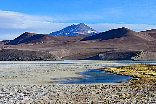 泻湖,粉色,火山,内华达,国家公园,区域,阿塔卡马沙漠,智利,南美