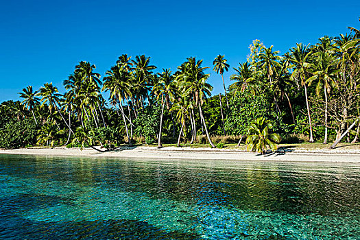 白沙滩,岛屿,蓝色泻湖,斐济,南太平洋