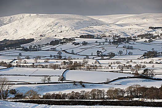 农田,山,积雪,靠近,坎布里亚,英格兰