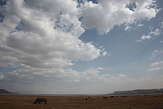 非洲肯尼亚风景