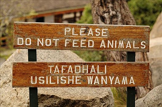 标识,进食,动物,野生动物,住宿,塞伦盖蒂国家公园,坦桑尼亚,非洲