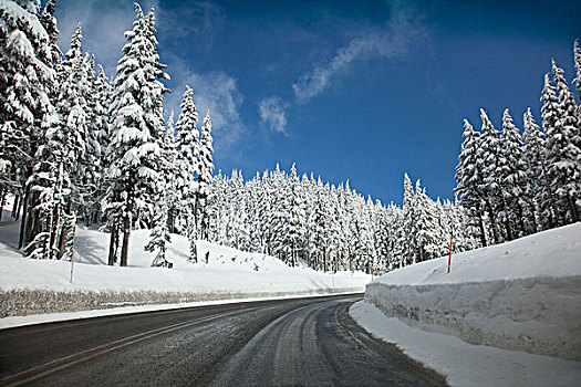 俄勒冈,美国,雪,道路,林木线,胡德山