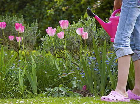 腿,女孩,花,花园,拿着,粉色,洒水壶