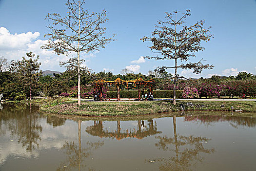 中科院西双版纳热带植物园美景