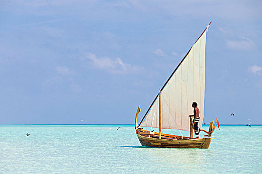 马尔代夫,环礁,岛屿,男人,帆,传统