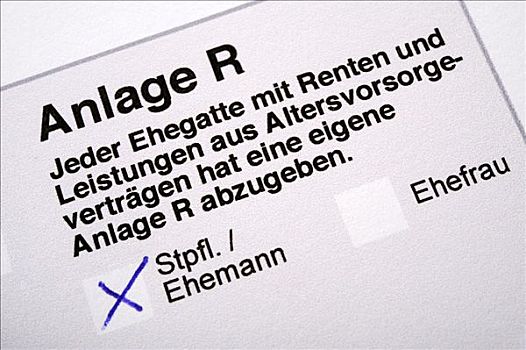 德国,所得税申报表,养老金,计划