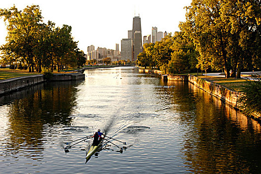 芝加哥,伊利诺斯,桨手,公园,泻湖,黎明,美国