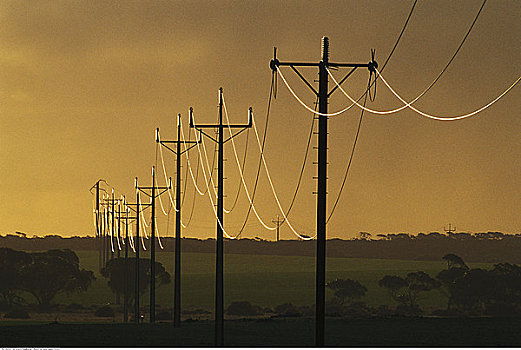 电线,澳大利亚