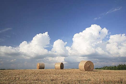 夏天,云,小麦,稻草