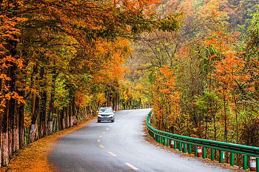 最美乡村公路