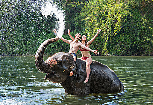 两个,青少年,坐,亚洲象,象属,水,象鼻,北碧府,泰国,亚洲