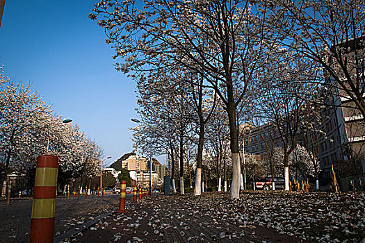 贵阳花溪区政府美景