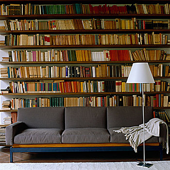 灰色,黄色,蓝色,沙发,站立,墙壁,书本,房间