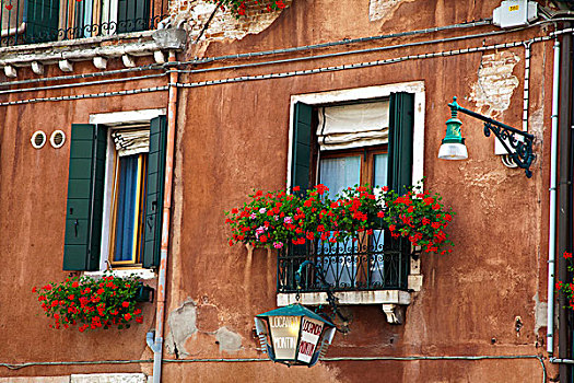 欧洲,意大利,威尼斯,街景,花,盒子