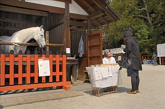 神圣,马,日本神道,摊贩,神祠,京都,日本,亚洲