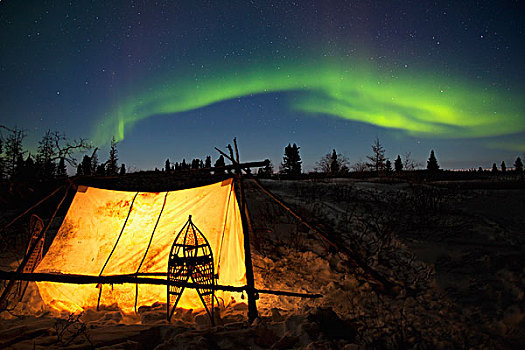 帐蓬,光亮,北极光,瓦普斯克国家公园,北方,靠近,丘吉尔市,曼尼托巴,加拿大