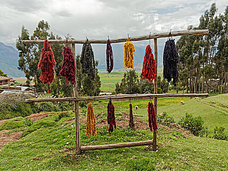 传统,编织,绵羊,毛织品,盖丘亚族,女人