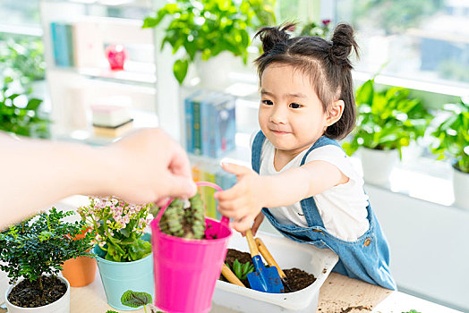 快乐的小女孩在家种植盆栽