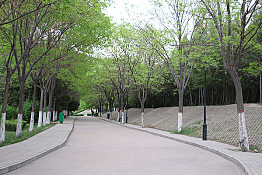 公园路