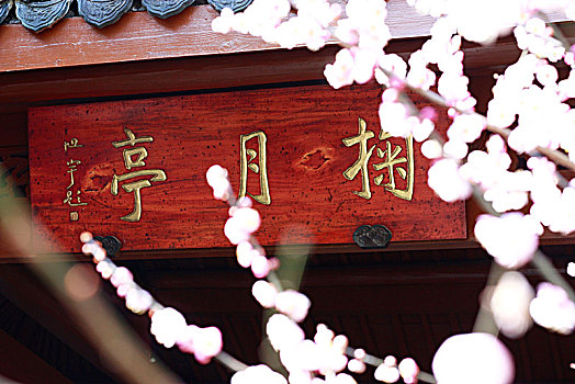 掬月亭,中国传统牌匾