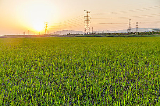 田园夕阳高压电塔