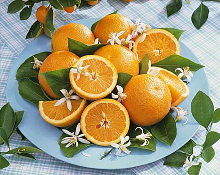 橘子,橙花,青绿色,盘子