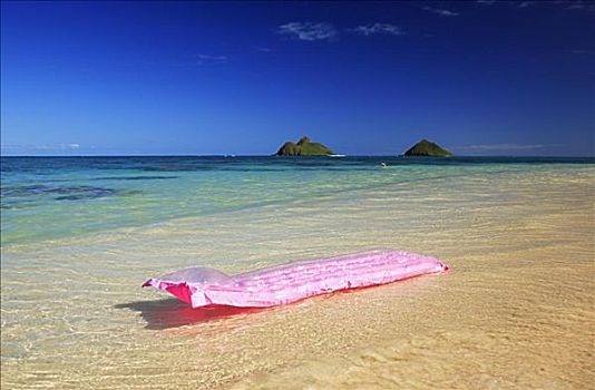 夏威夷,瓦胡岛,粉色,膨胀,筏子,清晰,海洋,水,背景