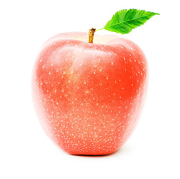 成熟,红苹果,隔绝,白色背景,背景