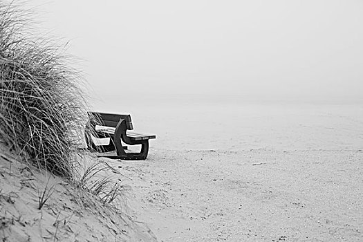 长椅,海滩,阿默兰岛,荷兰