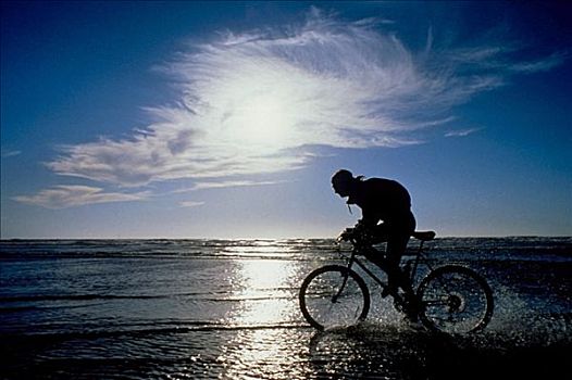 男人,自行车,太平洋,华盛顿,剪影,夏天,景色