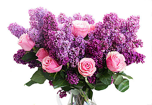 丁香,束,紫色,花,粉色,玫瑰,隔绝,白色背景,背景